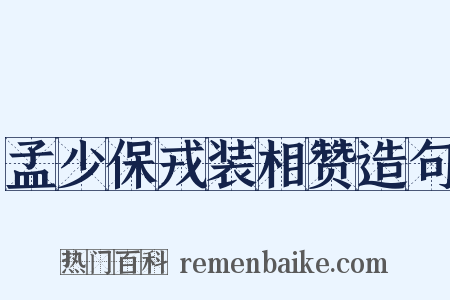 孟少保戎装相赞造句是什么意思的图片